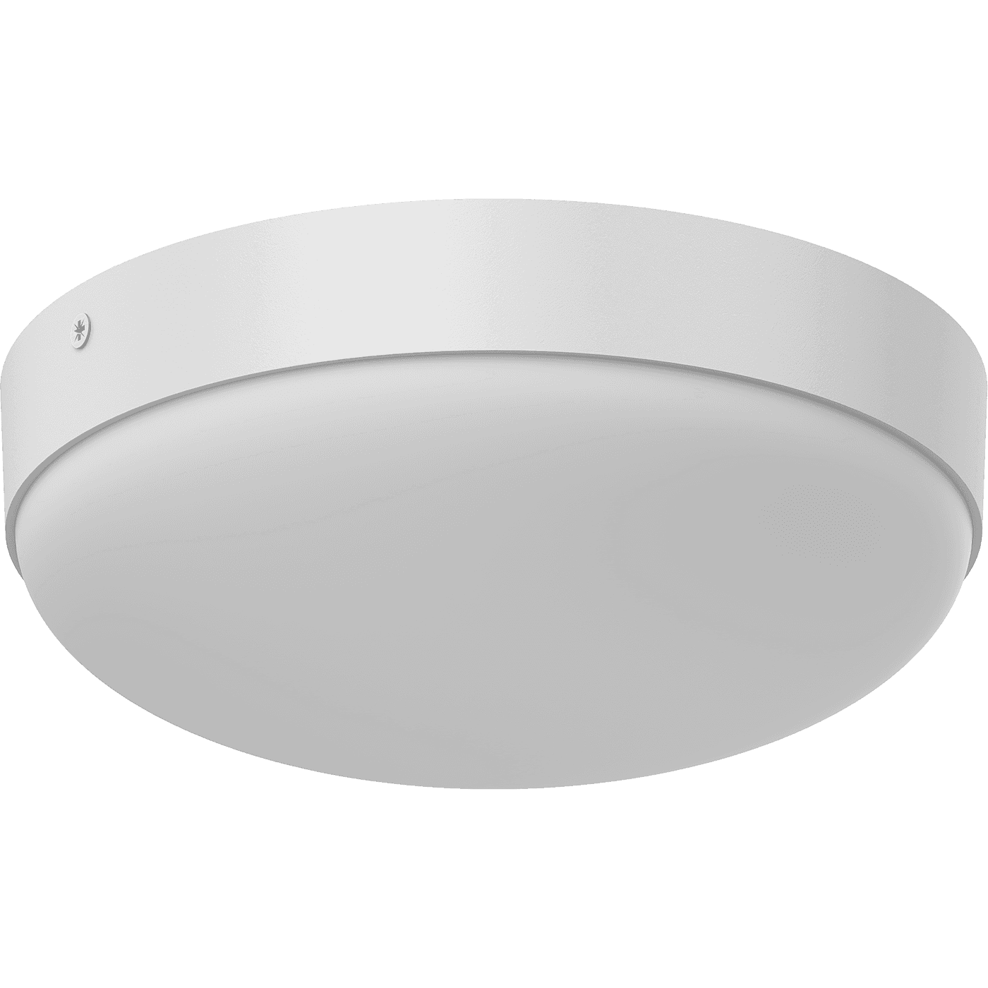 настенные накладные, артикул 1713000060