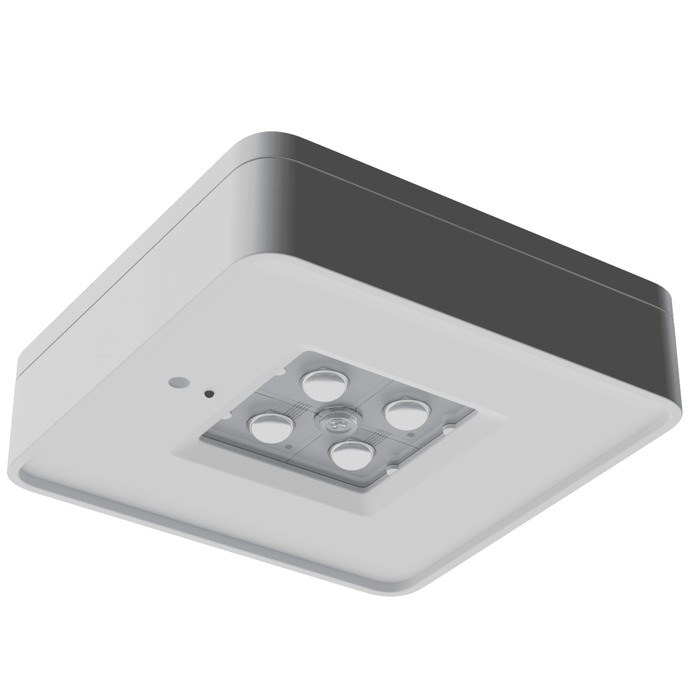 аварийные светильники SPECTRA 4013-2 LED AT, артикул 4502004690
