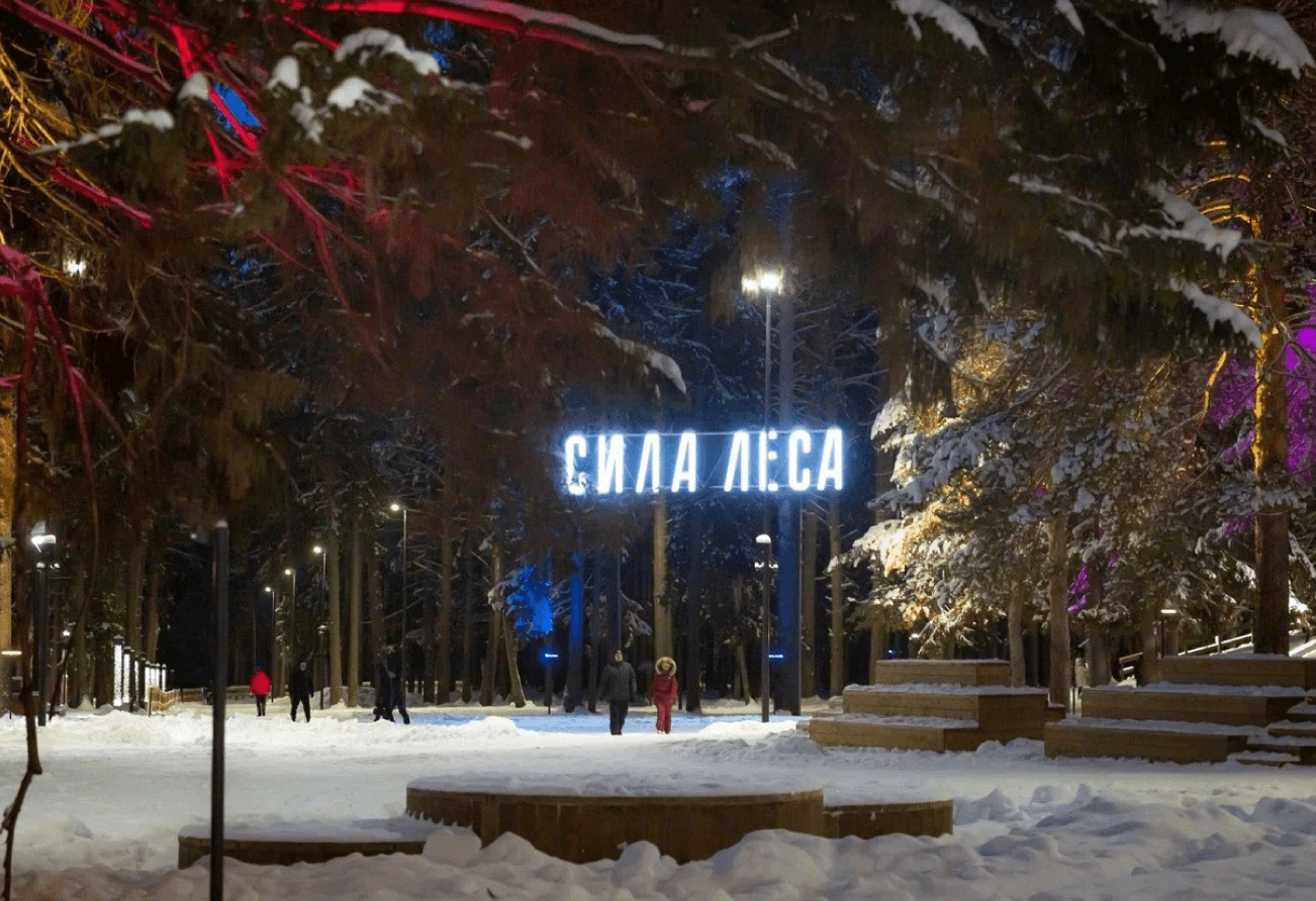 Парк «Сила леса» в Березовском лесу - проектирование освещения от компании Световые Технологии