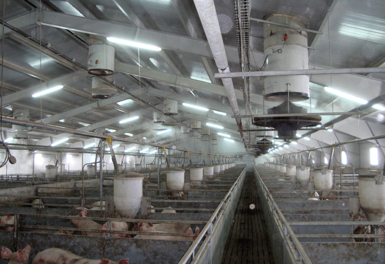 Agro farm - проектирование освещения от компании Световые Технологии