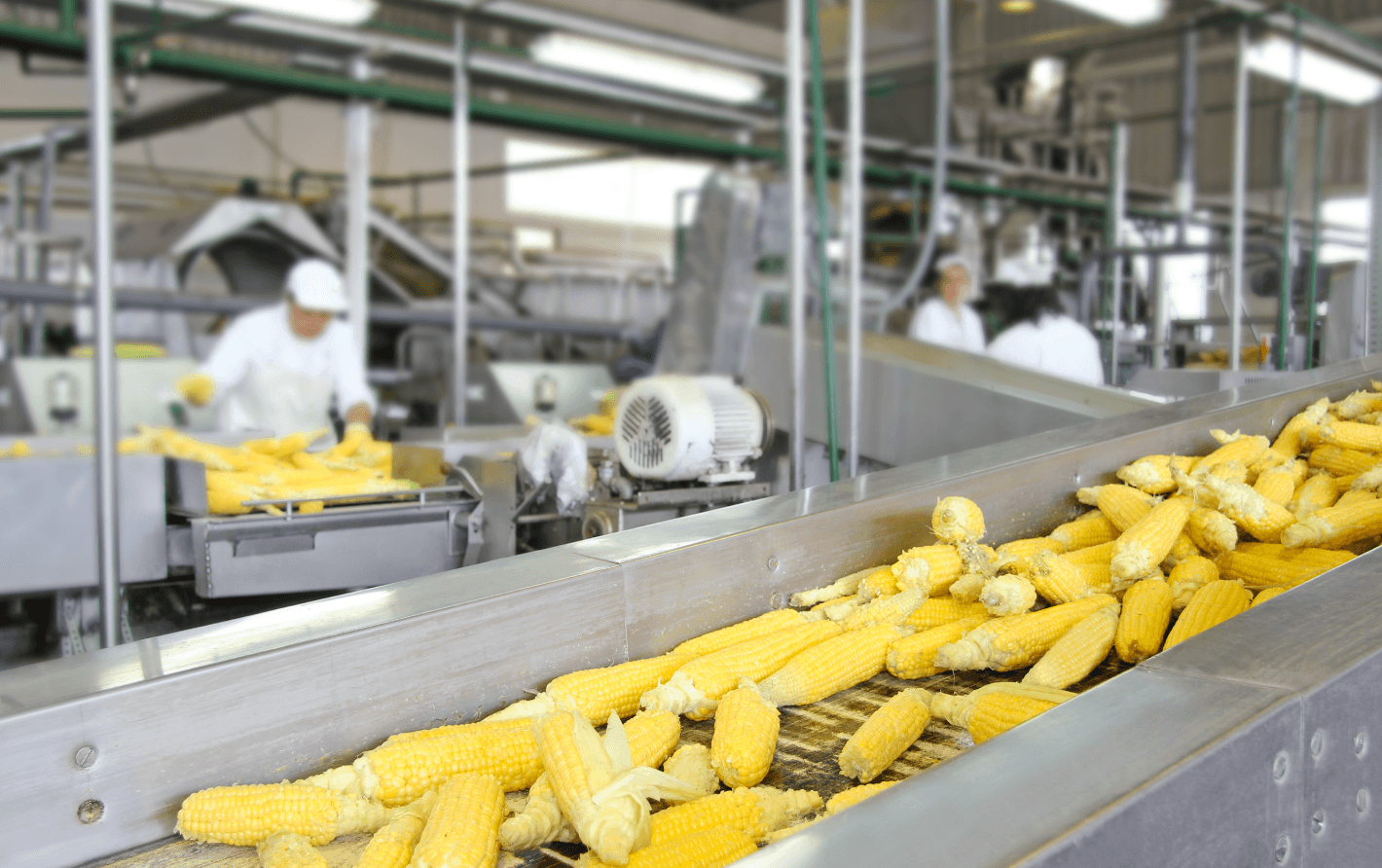 food industry - проектирование освещения от компании Световые Технологии