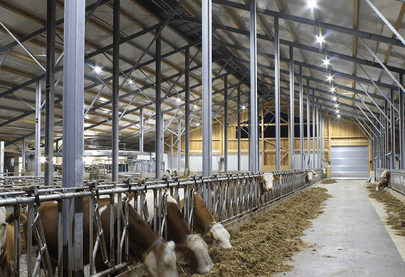 Bauer Wagner, животноводческая ферма - проектирование освещения от компании Световые Технологии