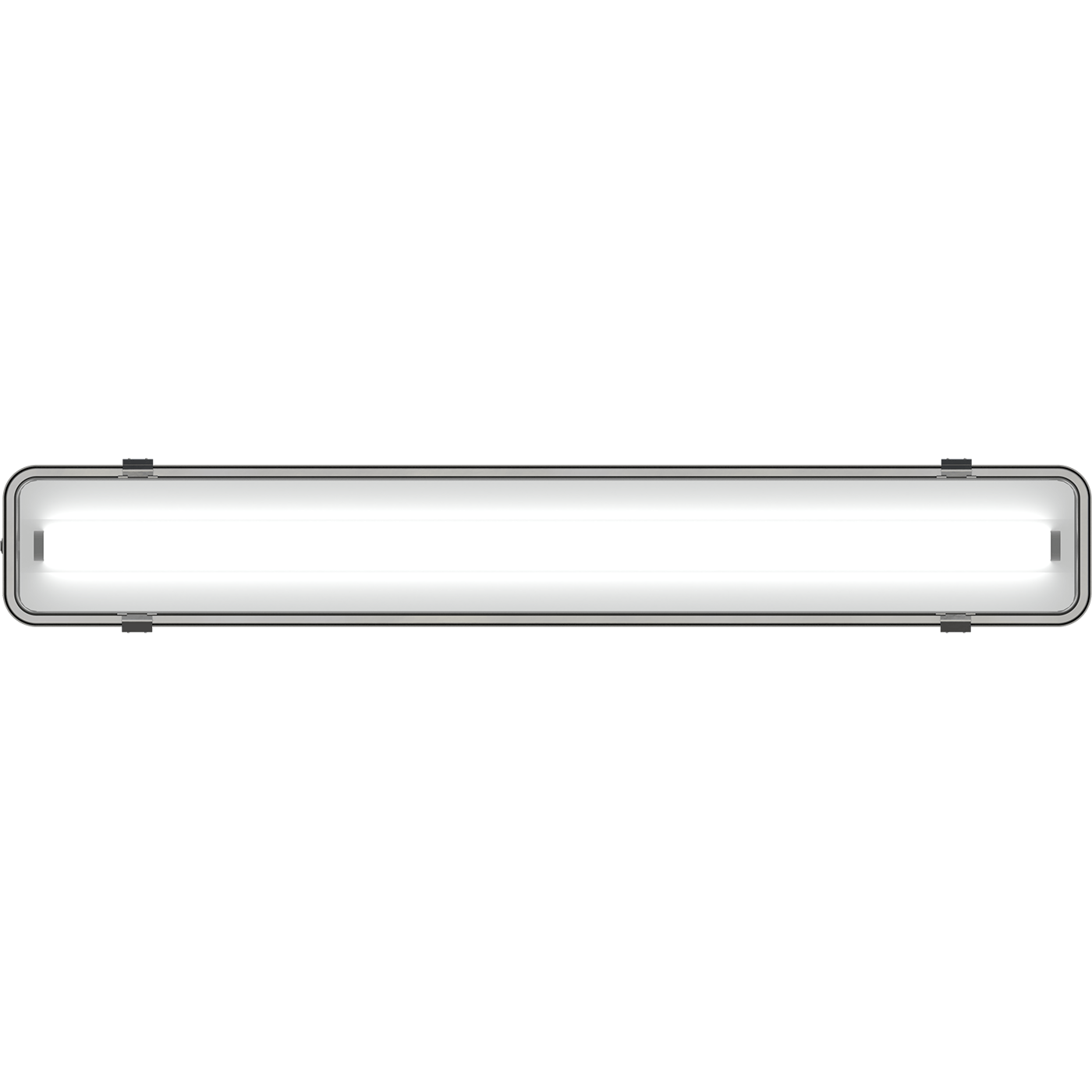 IP-защищенные (ПВЗ) светильники INOX LED, артикул 1079000390